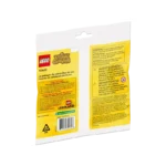 LEGO Maple’s Pumpkin Garden Set 30662