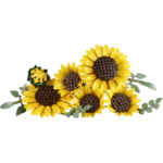 LEGO®  Botanicals Sunflower Bouquet Flower Decor 11502 - Image 2